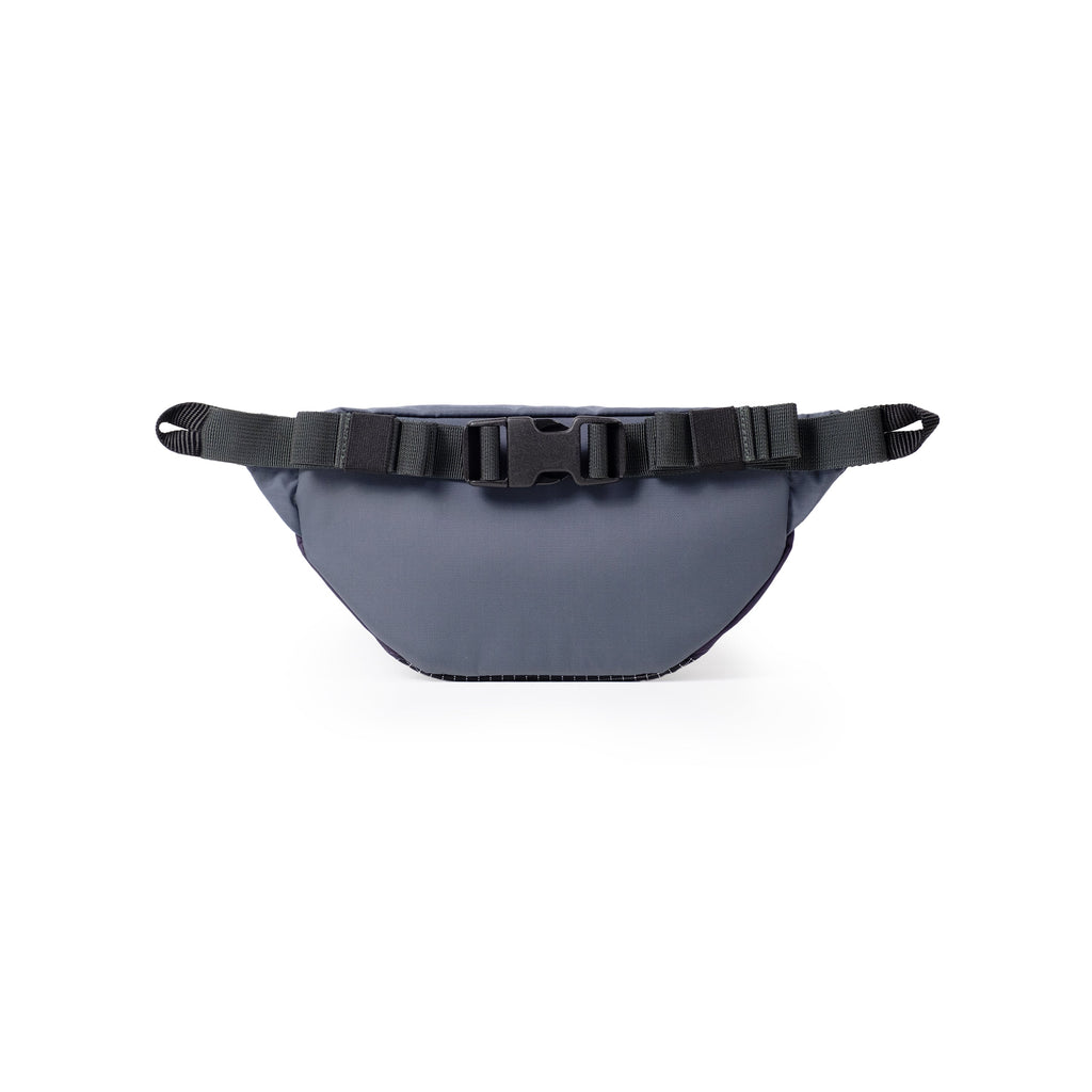 Mountain Waist Pack